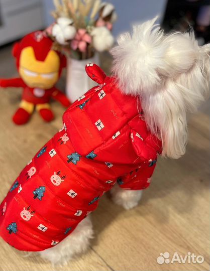 Куртки для собак (разные)