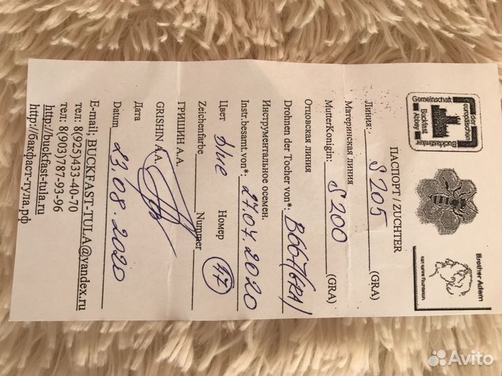 Пчелопакет бакфаст