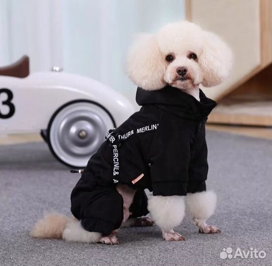 Комбинезон для собак, р.XS