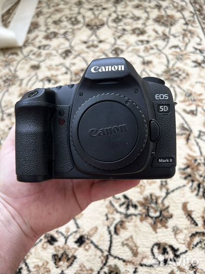 Canon 5d mark ii body