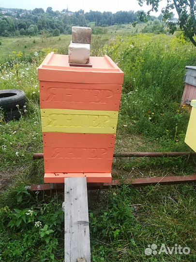 Улей янгер из ппу на 10 и 16 рамок