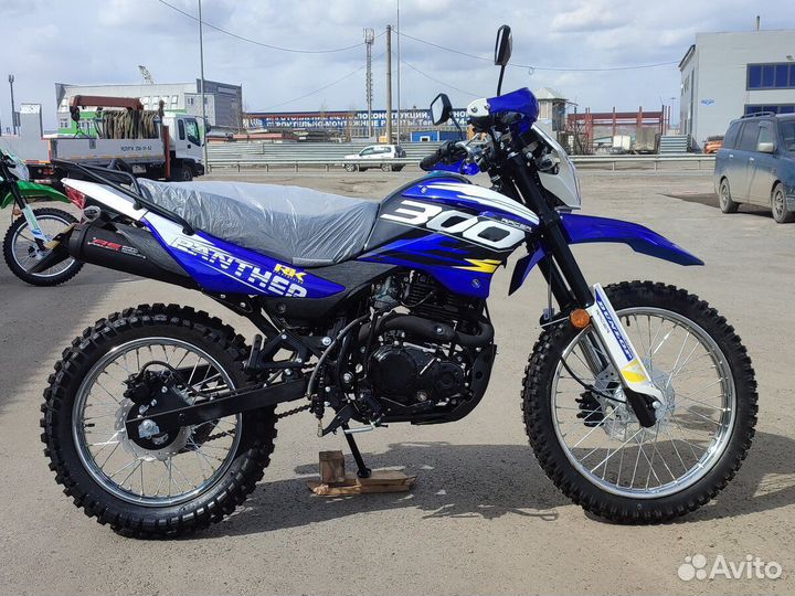 Рейсер 300