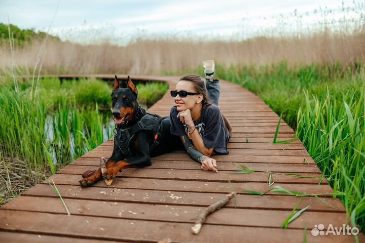 Фотосессия с доберманом под ключ с визажистом