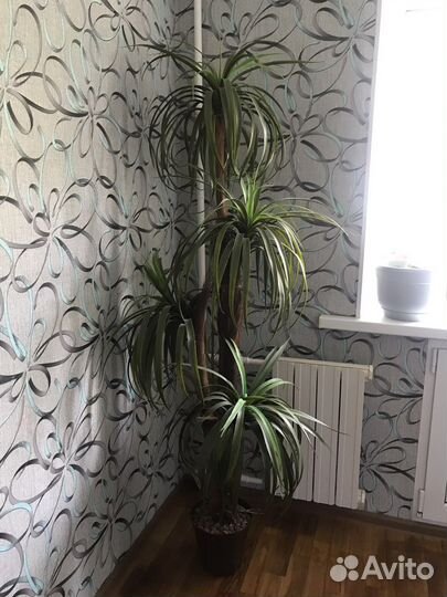 Пальма искусственная в горшке