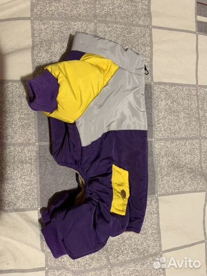 Одежда для собак