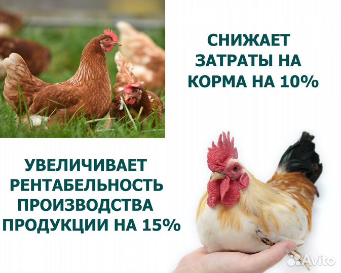 Премикс для сельхоз птицы 1%