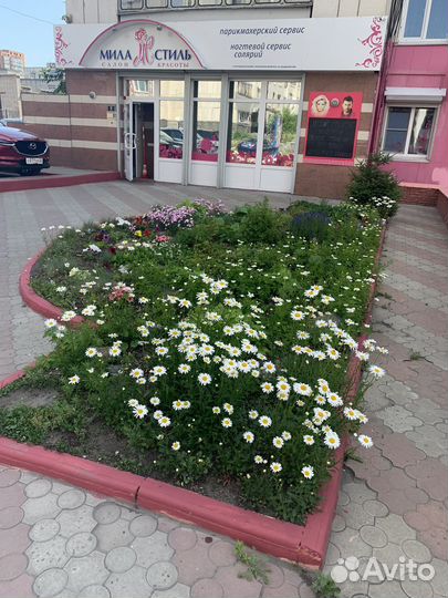 Аренда места мастера маникюра