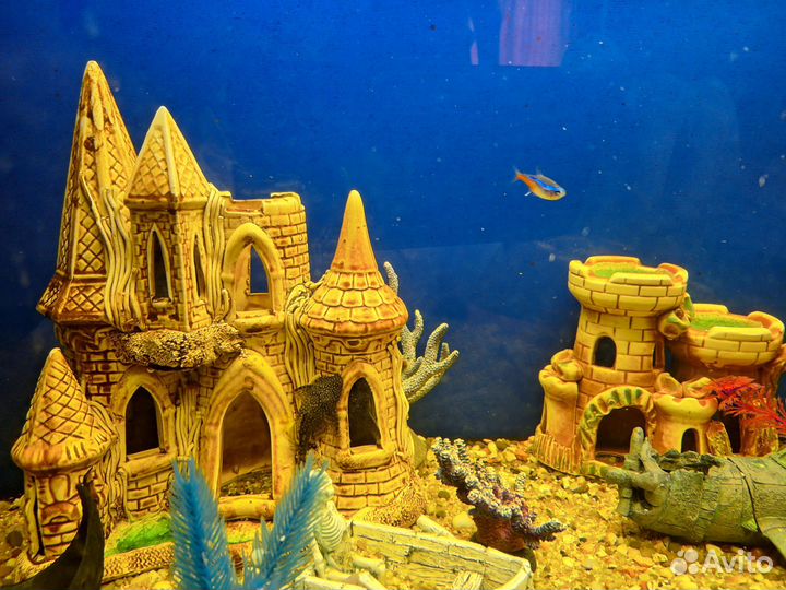 Аквариум с рыбками