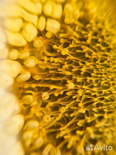 Набор для сервировки подарок