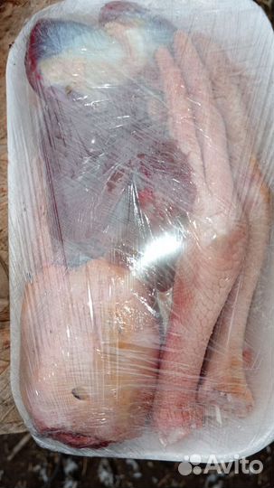 Гусь домашний, халяль