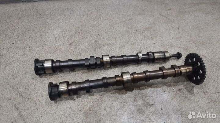 Пара распредвалов впуск выпуск.4 caxc VW Jetta 6