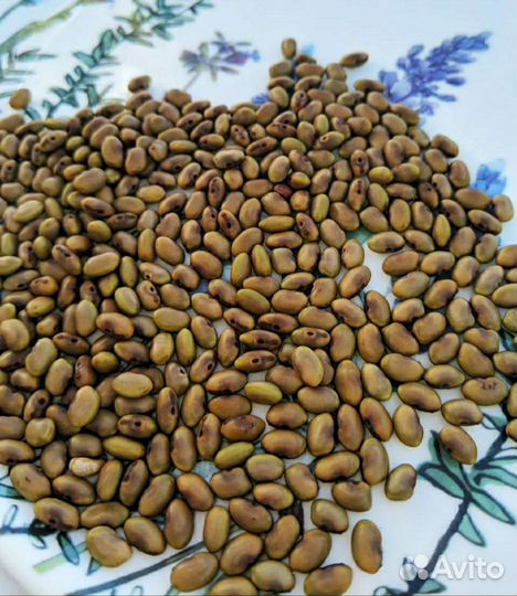 Сесбания семена