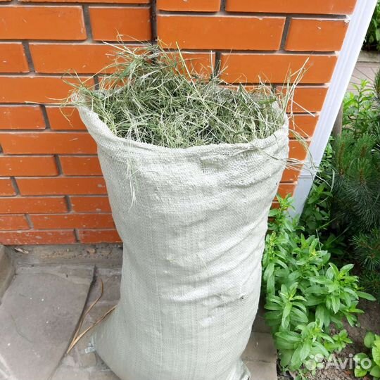 Сено для грызунов