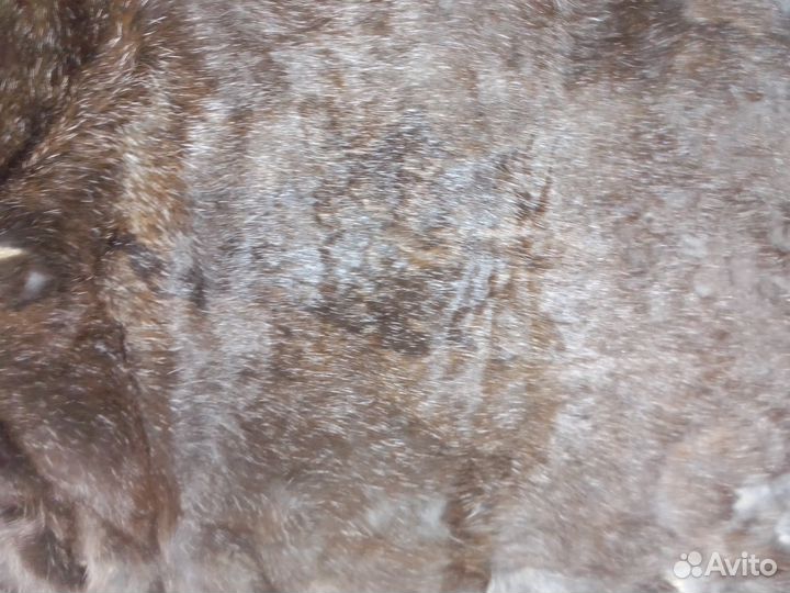 Шкурки кролика