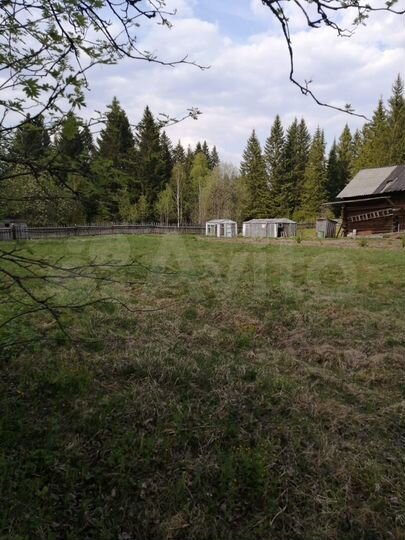 Дом 100 м² на участке 19,5 сот.