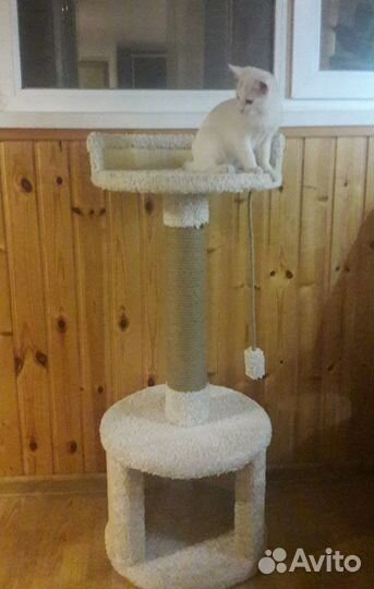 Лежаки и столбики для ваших питомцев, новое