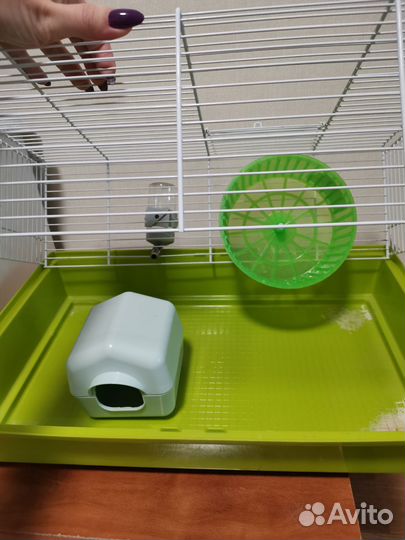 Клетка для хомяка +корм