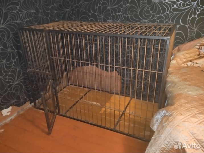 Вольер для собак