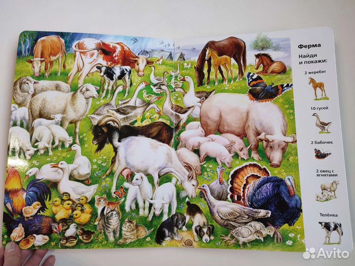 Виммельбух найди и покажи