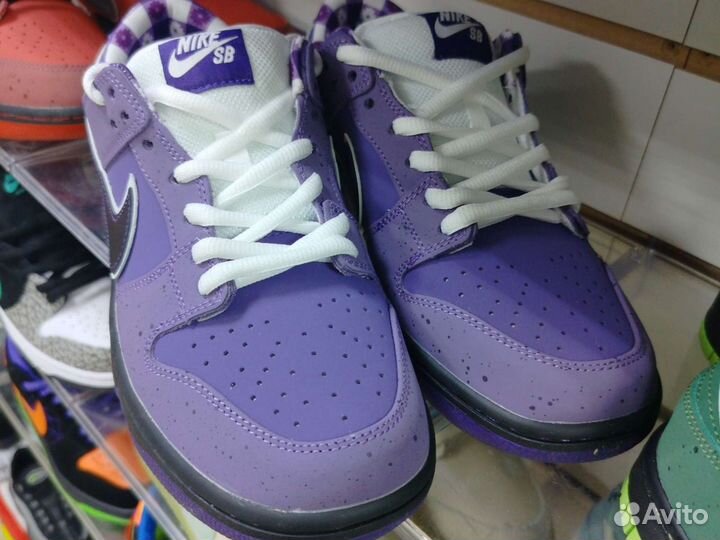 Nike sb dunk low purple lobster