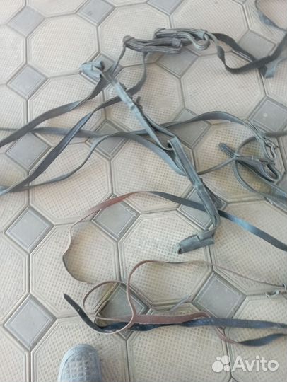 Амуниция для лошади