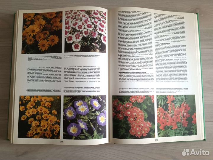 Энциклопедия садовода