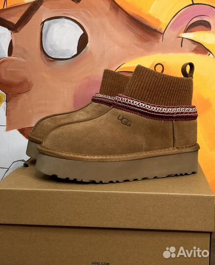 Ugg tazz tasman с носком 2 цвета