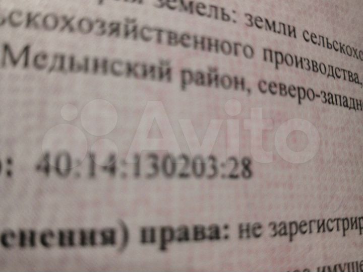 Участок 30 га (СНТ, ДНП)