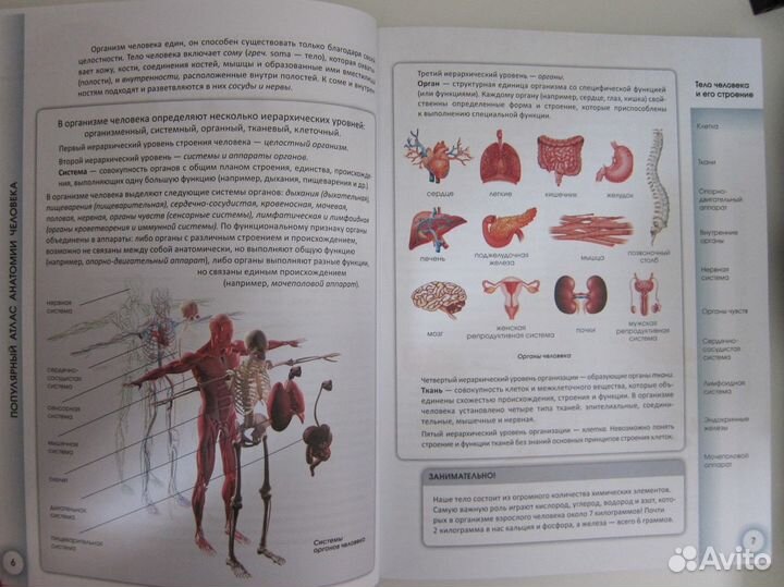 Популярный атлас анатомии человека