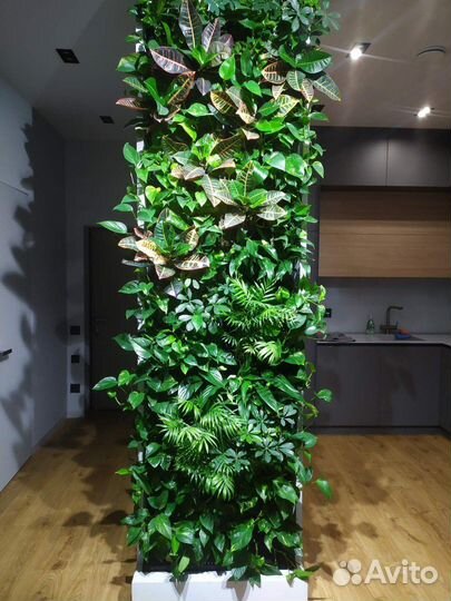 Фитостена. Вертикальное озеленение