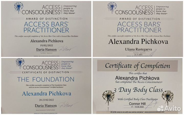 Сессии Access Bars, Аксесс Барс