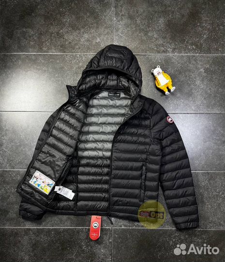 Куртка весенняя Canada goose