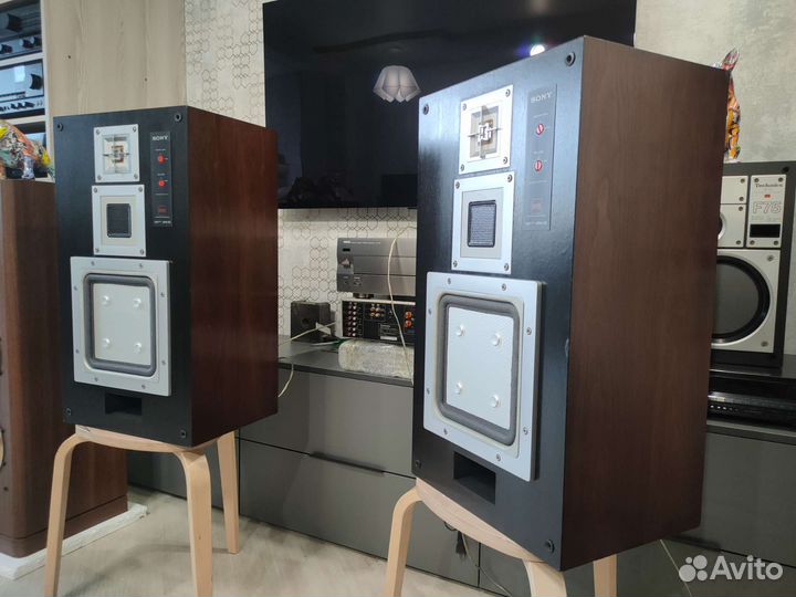 Sony APM55