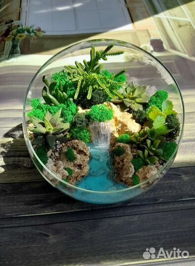 Подарок флорариум