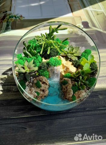 Подарок флорариум