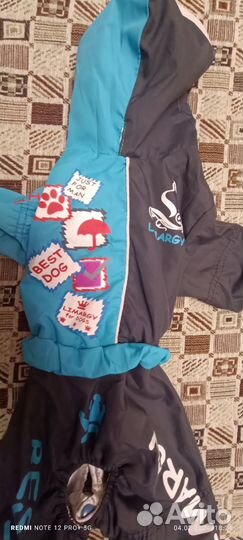 Комбинезон и маечка для мини собак