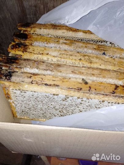 Мёд цветочный, прополис, прополисный холстик
