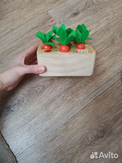 Сортер морковки