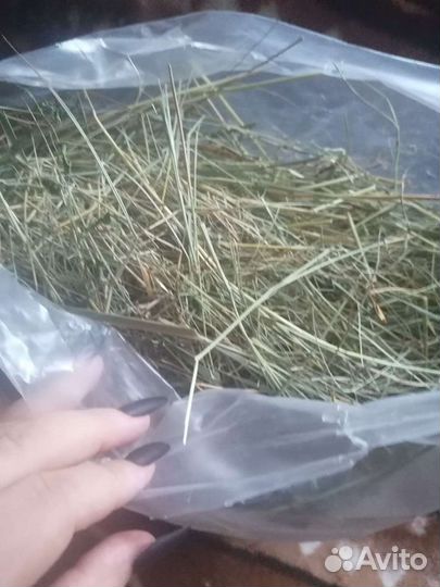 Сено луговое