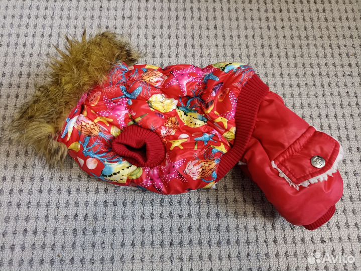 Вещи на собачку