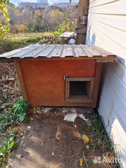 Будка для собаки