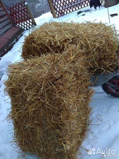 Сена Солома