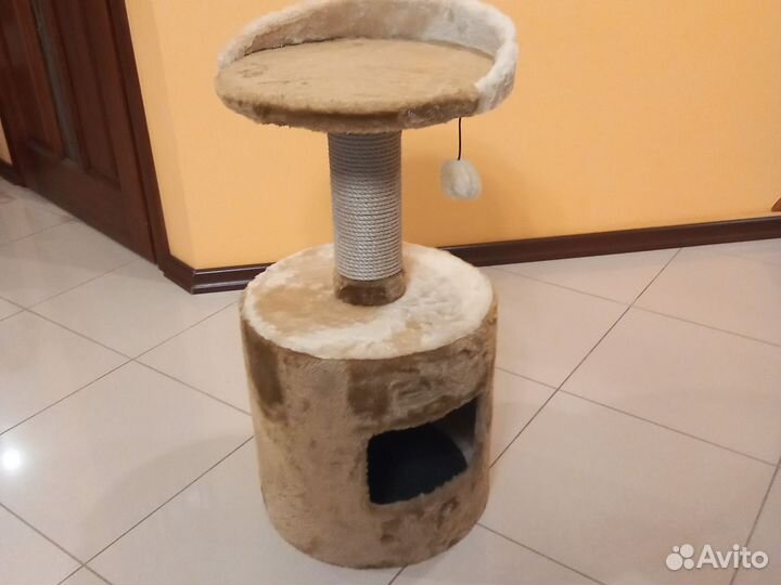 Когтеточки