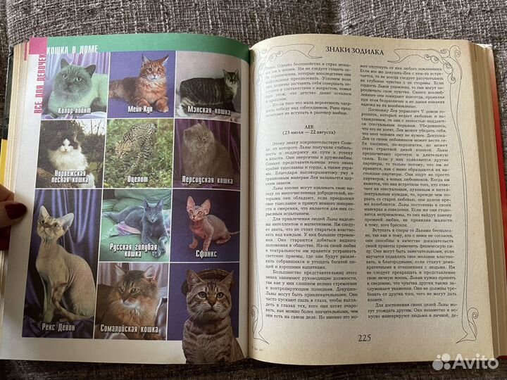 Энциклопедия для девочек