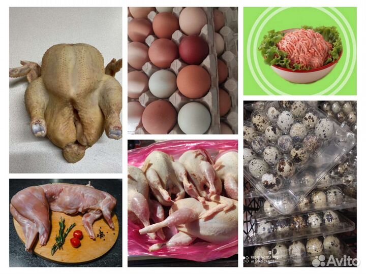 Домашнее Мясо: кролик, курица,перепелка