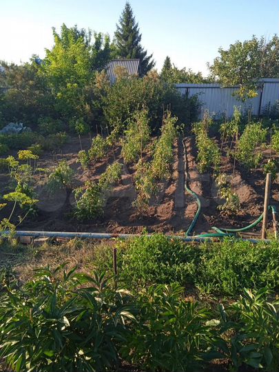 Дача 12 м² на участке 7,3 сот.