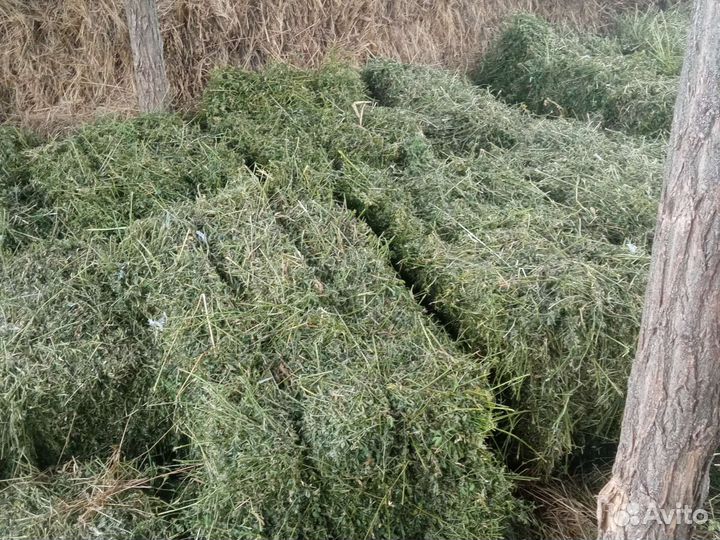 Сено,Солома и люцерна в тюках
