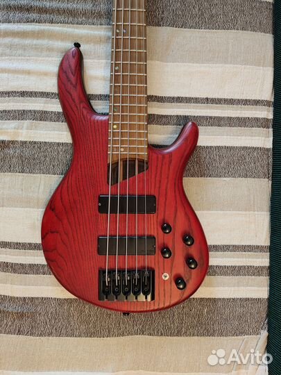 Cort b5 element бас гитара 5 струн