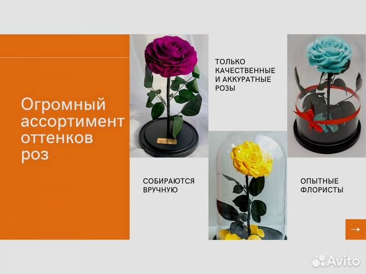Розы в колбе разные
