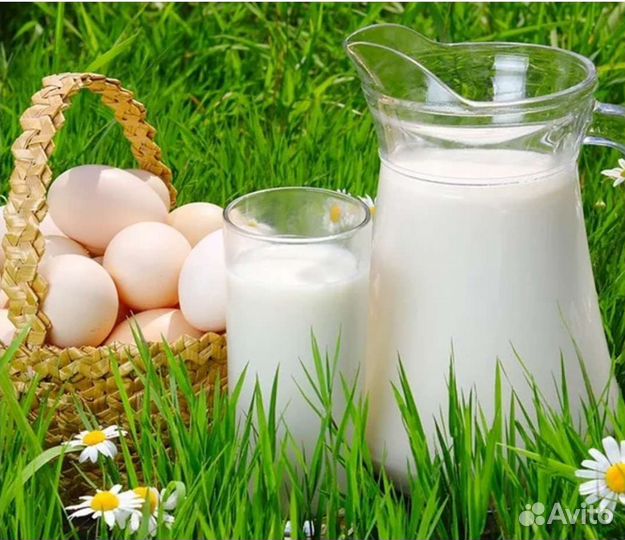 Козье молоко, творог